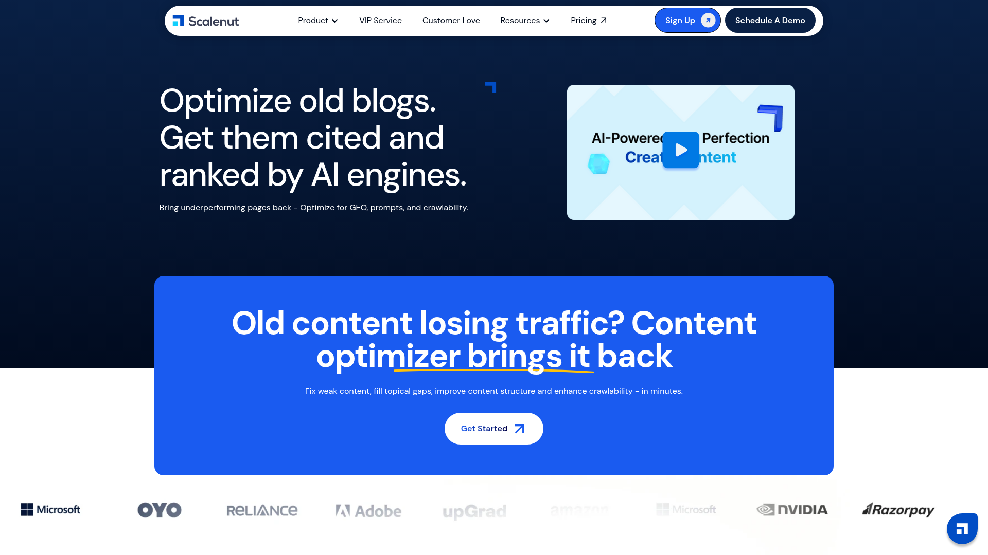 Scalenut Content Optimizer page showing real-time SEO scoring against SERP competitors